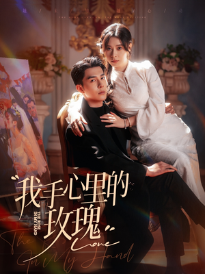 我手心里的玫瑰（91集） 海量资源免费看