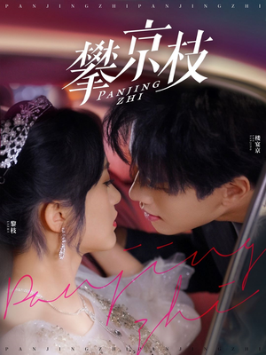 攀京枝（80集） 短剧热播推荐