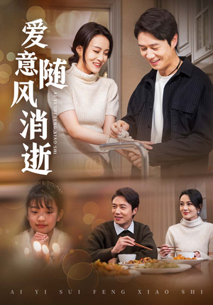 爱意随风消逝（47集） 免费观看全集