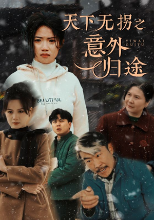 天下无拐之意外归途（61集） 爆火短剧追不停
