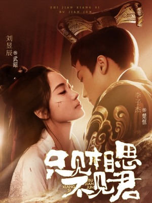 只见相思不见君(82集) 只见相思不见君(82集) 无需充值尽情看