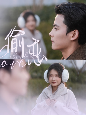 偷恋（73集） 全集都在这里了