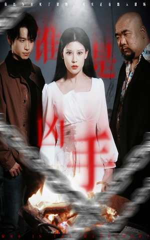 谁是凶手（31集） 全集都在这里了