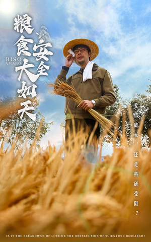 粮食安全大如天（43集） 正能量短剧分享