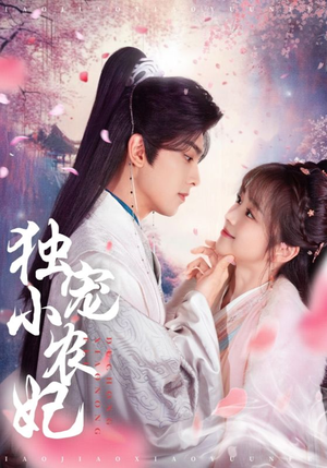 独宠小农妃（63集） 短剧有好货推荐