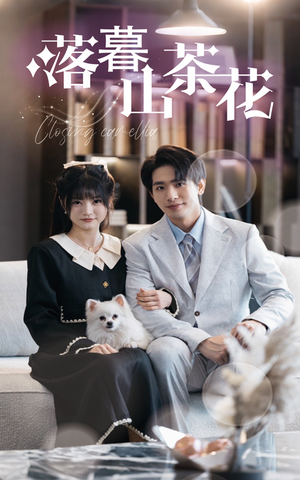 落幕山茶花（50集） 短剧推荐更新中