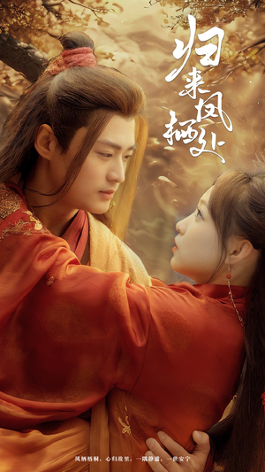 归来凤栖处（60集） 爱上了这部剧了