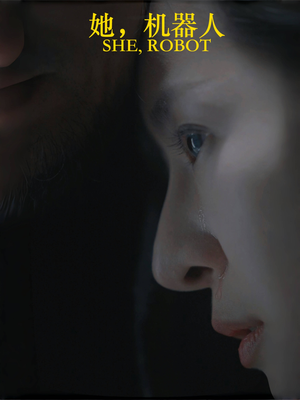 她机器人（23集）百度网盘资源