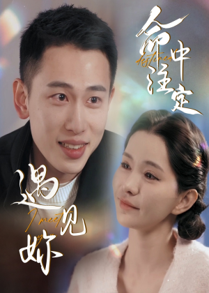 命中注定遇见妳（58集）全季一次看完