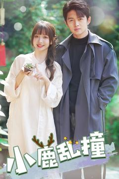 小鹿乱撞（40集） 去哪里看