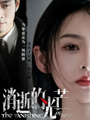 消逝的光芒(55集) 消逝的光芒(55集) 好看到停不下来