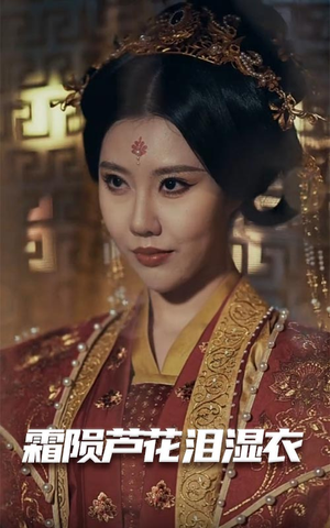 霜陨芦花泪湿衣（60集） 在线看到大结局