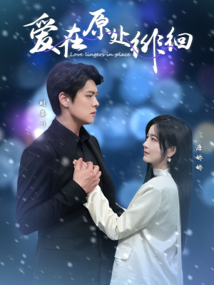 爱在原处徘徊（30集） UC网盘在线看