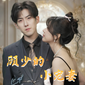 顾少的小宠妻（90集）爆款短剧推荐