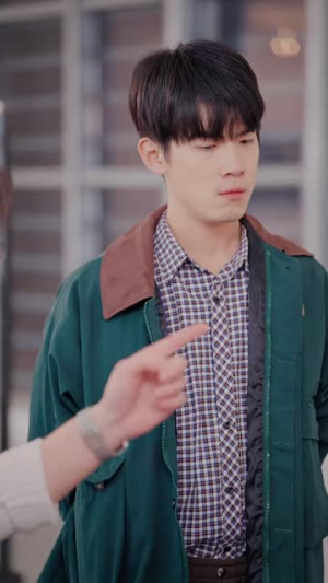 山鸡不是凤凰（52集）精彩短剧天天看