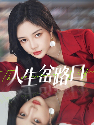 人生岔路口（30集）流畅播放免费看
