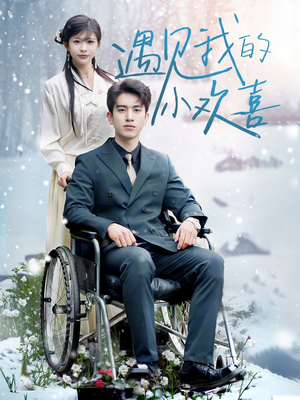 遇见我的小欢喜（70集） 追短剧看全集