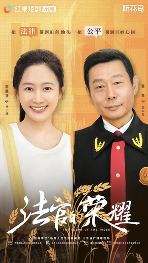 法官的荣耀（5集全）精彩好看短剧