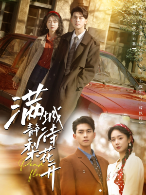 满城静待梨花开（100集）热门短剧又来了