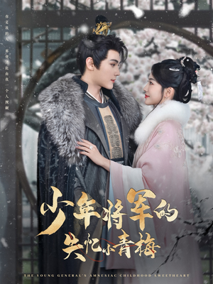 少年将军的失忆小青梅（100集）无需充值尽情看