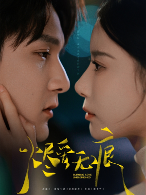 烬爱无痕（92集）高分佳作免费看