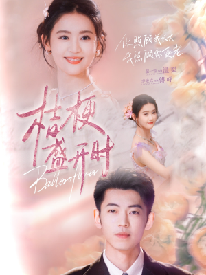 她的小桔梗（92集）热门短剧抢先