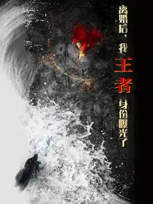 离婚后，我王者身份曝光了（80集）直接追到结尾