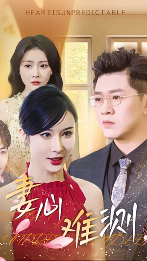 妻心难测（33集）免费在线看