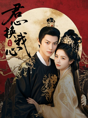 宫阙有时晴（71集）在线免费观影