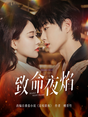 致命夜焰（80集） 让你一口气看完