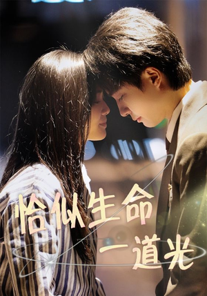 恰似生命一道光（60集） 全季一次看完