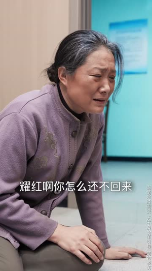 细雨春晖报母恩（30集） 免费观看全集