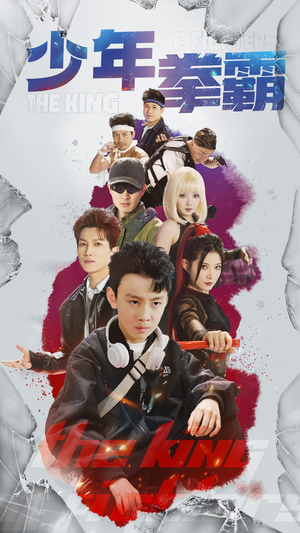 少年拳霸（60集） 精彩短剧热播