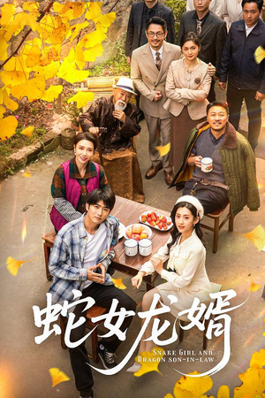 不负韶华不负卿（52集） 深深爱上这部剧