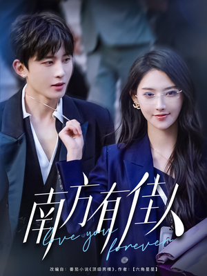 南方有佳人（83集） 热门短剧大全