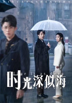 时光深似海（35集） 短剧免费看全集