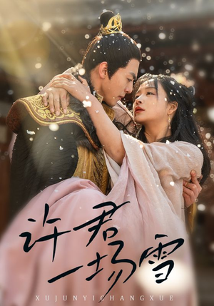 许君一场雪（43集）真的好看吗