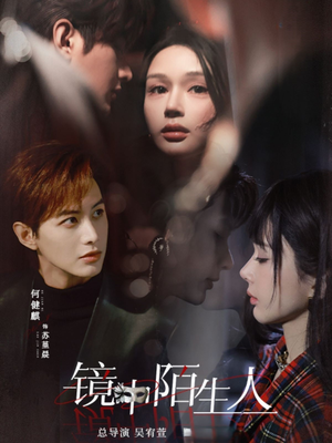 镜中陌生人（54集） 好看到停不下来