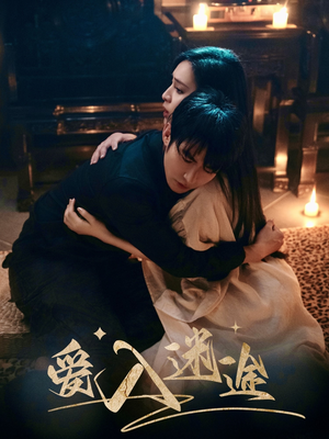 爱入迷途（67集）番茄短剧免费看