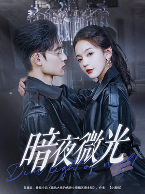 暗夜微光（86集）免费看