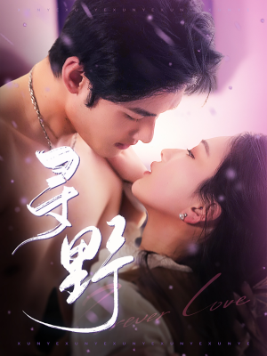 寻野（100集）热门短剧又来了