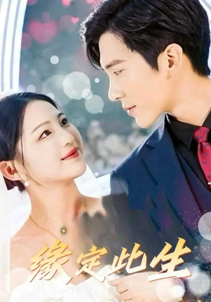 缘定此生（87集）免费短剧大全