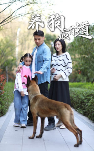 养狗应有道（60集）短剧推荐更新中