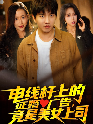电线杆上的征婚广告，竟是美女上司（90集）简直不要太好看