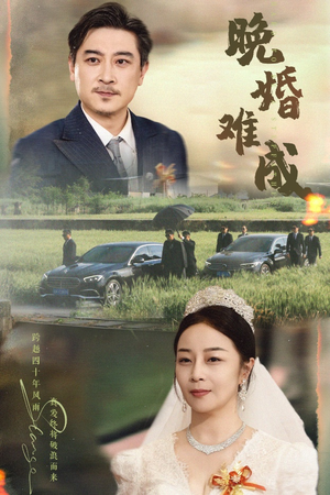 晚婚难成（60集）短剧上热门