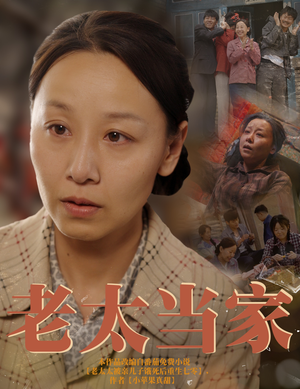 老太当家（60集）推荐你们也去看