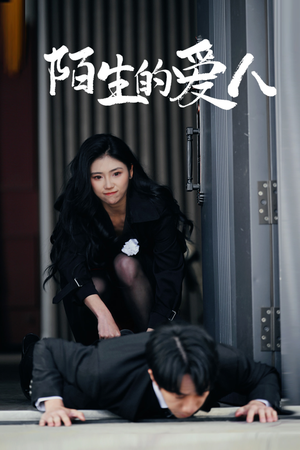 陌生的爱人（60集）熬夜追短剧