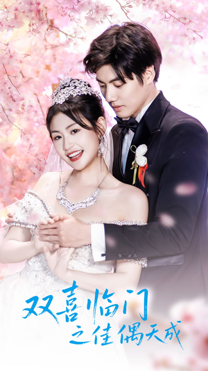 双喜临门之佳偶天成（42集）我真的爱了