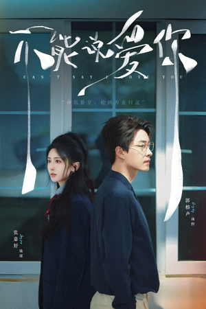 不能说爱你（64集）短剧追不停