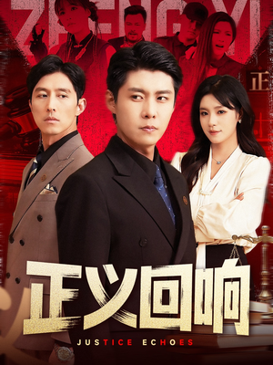 正义回响（98集）全集一次看完